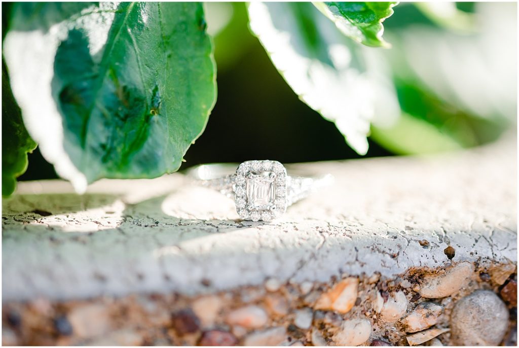 shelter gardens engagement session ring shot on wall