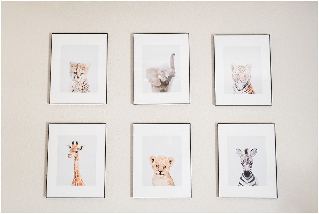 animal prints newborn nursery