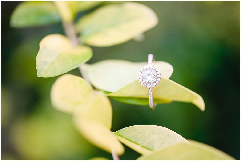 close up of engagement ring on green plant