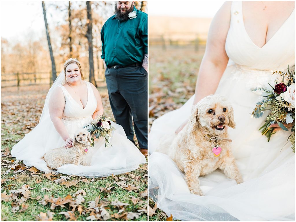 bride and groom small dog