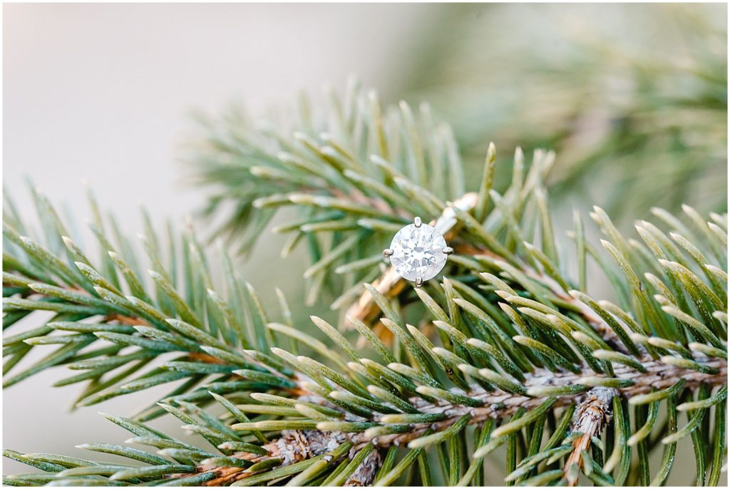 Up close image of large solitaire engagement ring placed on pine tree