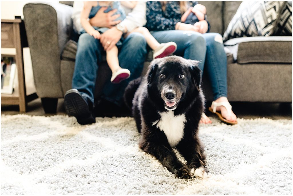 dog on rug next to family sitting on couch