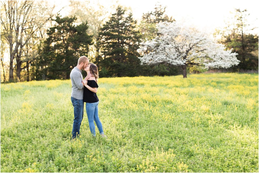 couple kissing in yellow field with white tree in background for couples session