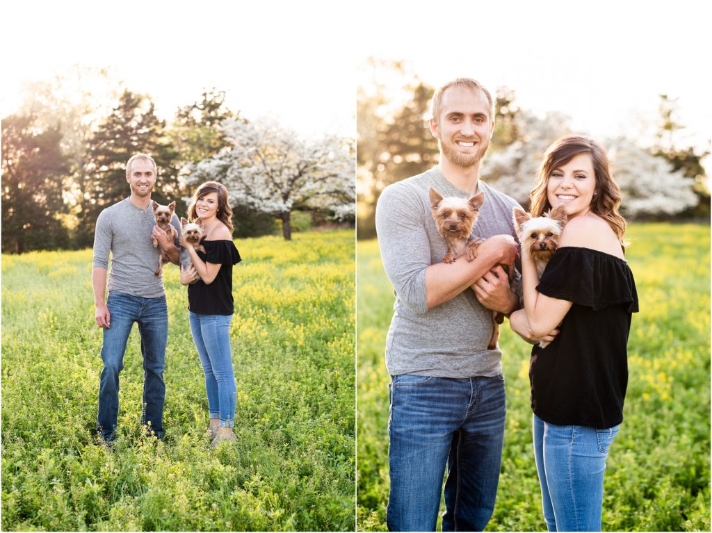 couple holding two yorkies in wildflower field posing for photos
