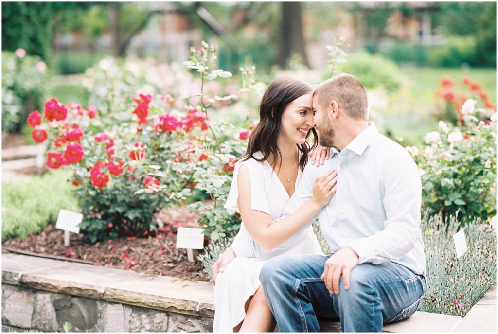 An engaged couple sits in a rose garden smiling at each other for engagement session