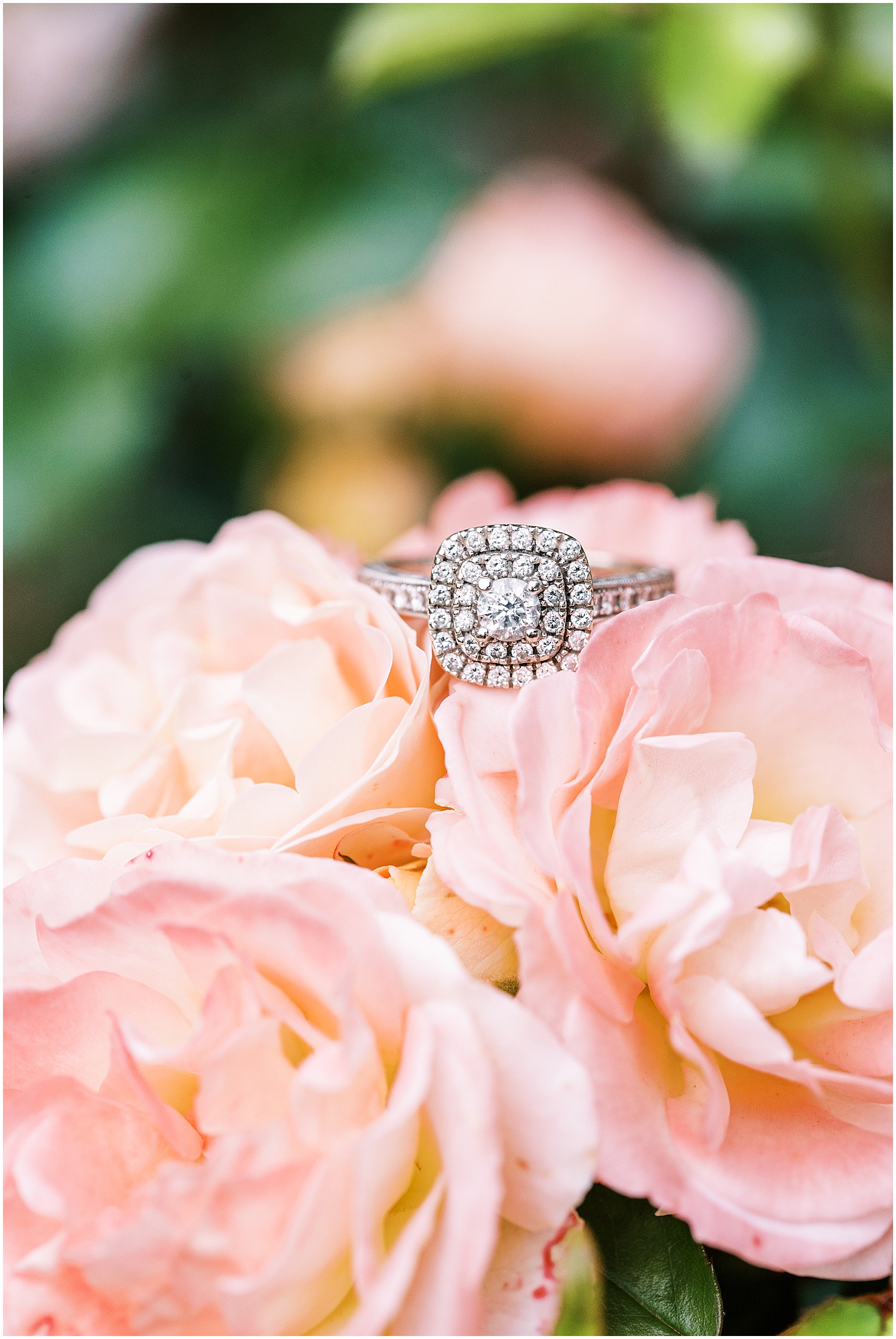 engagement ring sitting on pink roses