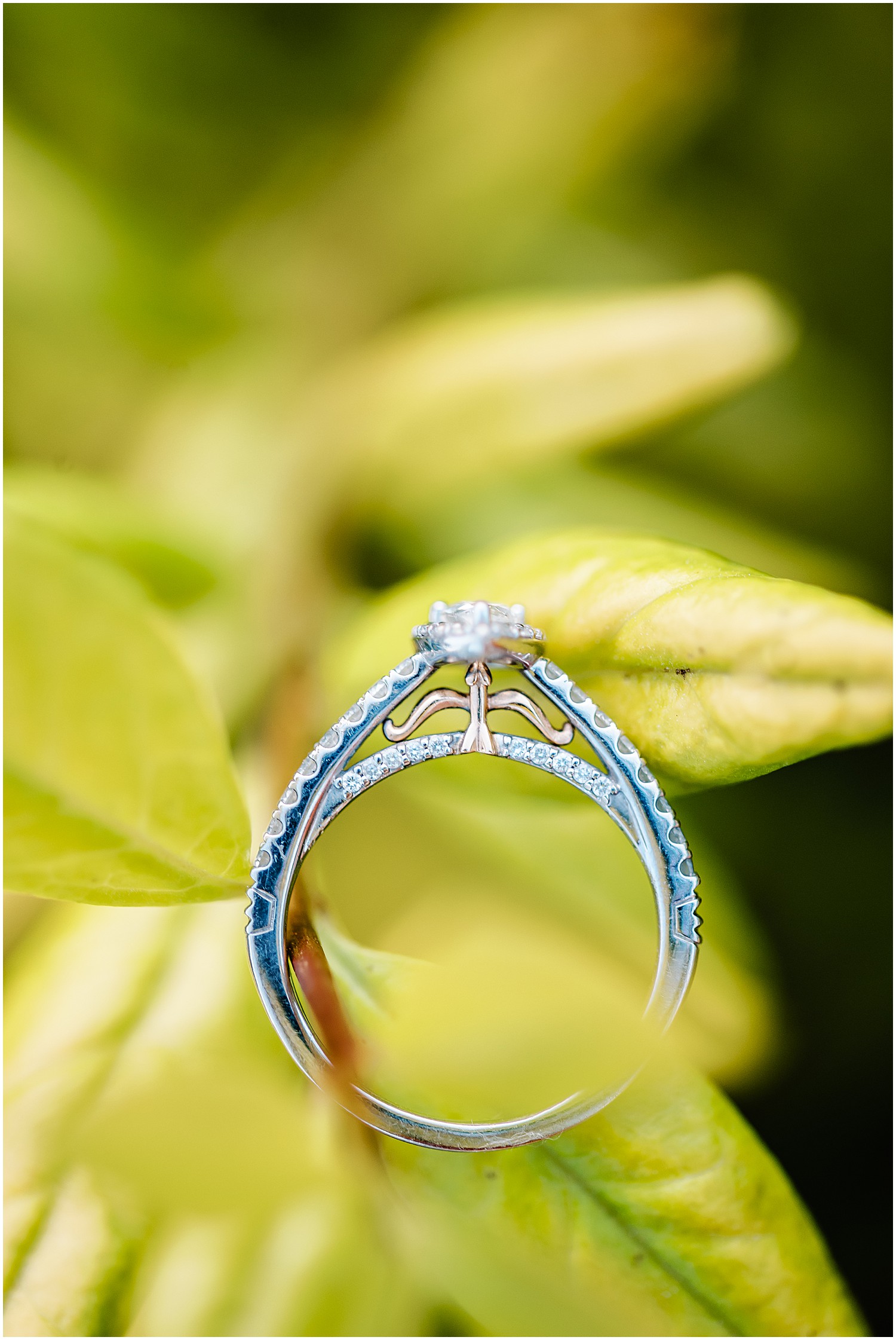 engagement ring details featuring an arrow up close shot of ring on leaf