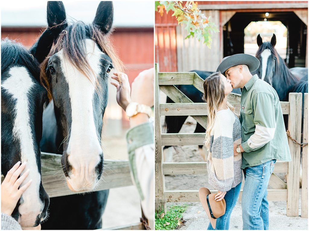 clydesdale horse next to couple kissing during engagement photos