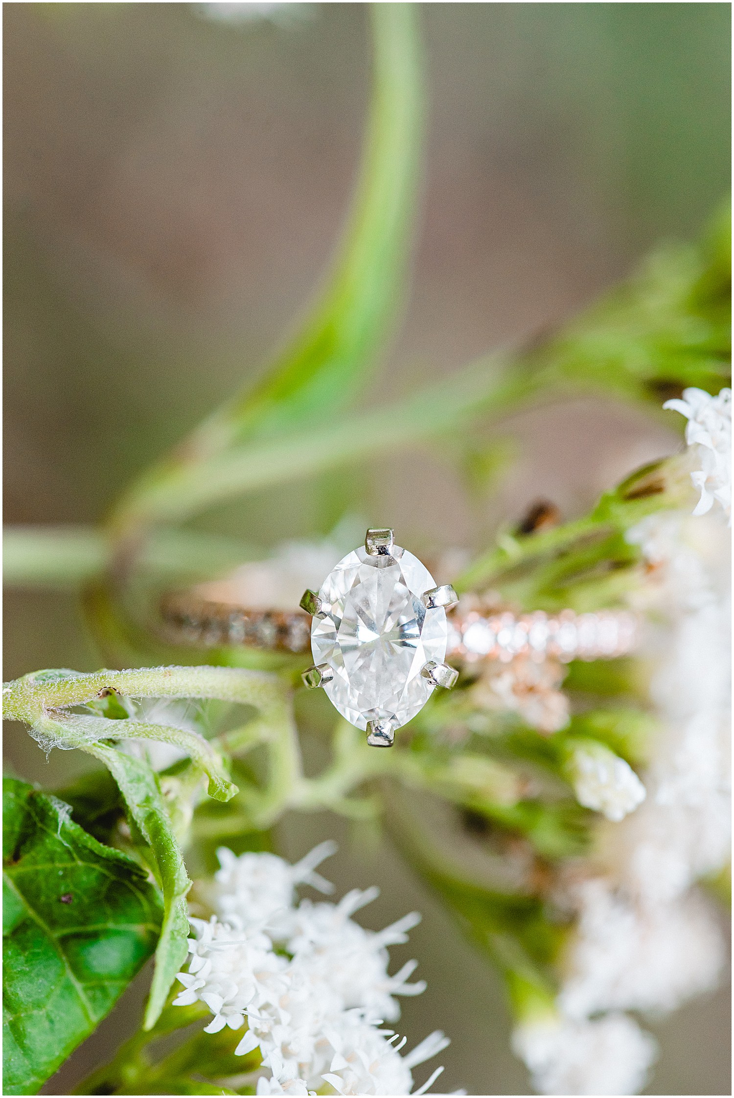 Oval cut engagement ring detail shot on green and white flower.