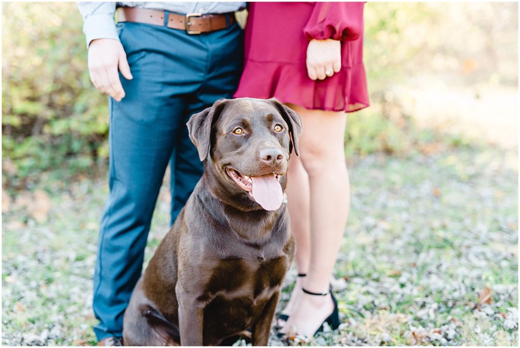 Columbia, MO Capen Park fall engagement session featuring chocolate lab