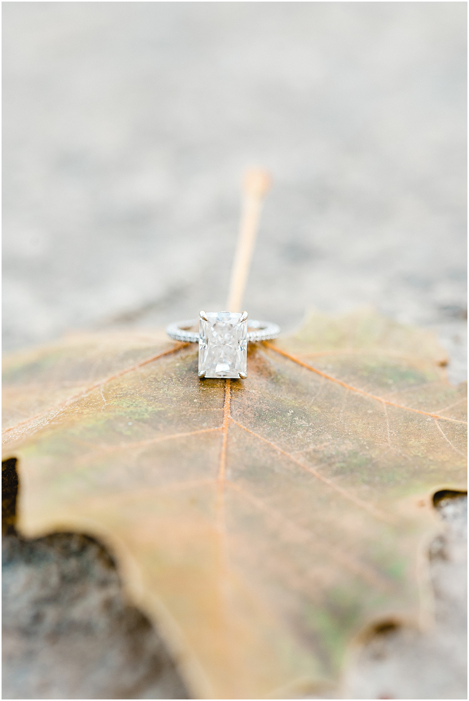 Capen Park Columbia, Missouri fall engagement session large engagement ring on fall leaf